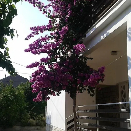 Apartment Anna